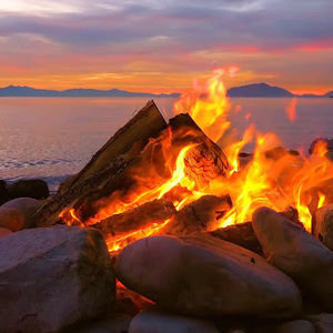 Meet your Posher, Network